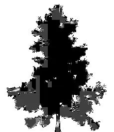 Alaska Cedar illustration