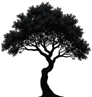 California Hazelnut illustration