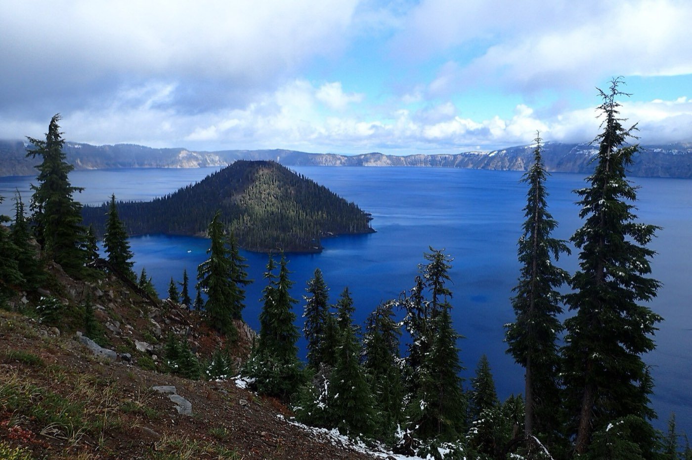 Mountain Hemlock picture photo